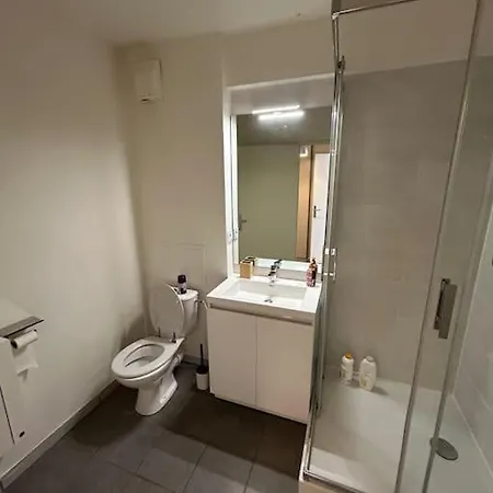 Appartement Avec Parking Gratuit Toulouse Exterior foto